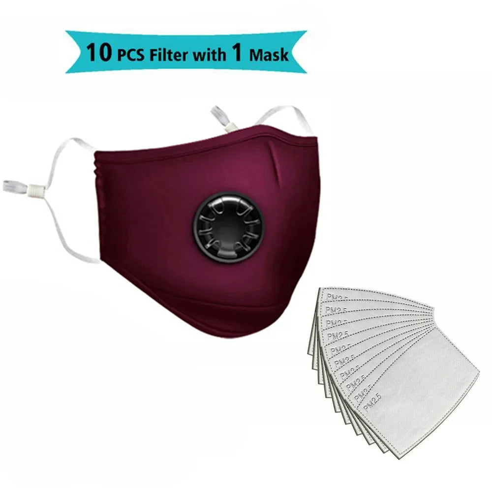 FLCOSLY Reusable PM2.5 Mask With 10 Replaceable Filters Windproof Valve Goggles For Adults